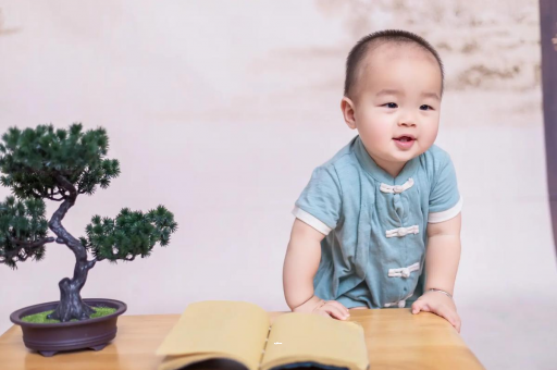 常德可爱的企鹅宝宝